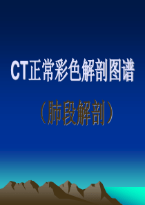 CT正常彩色解剖图-肺段