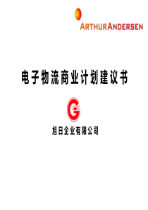 某电子物流商业计划建议书(PPT 49页)