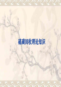 硫磺回收工艺原理PDF