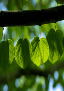 我们去发现