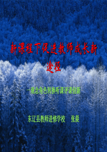 新课程下促进教师成长新途径