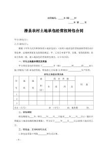 村土地承包经营权流转合同示范文本