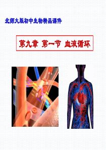 北师大版七年级下4.9.1血液循环