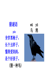 部编版一年级语文上册乌鸦喝水