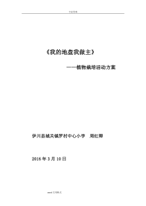 《我的地盘我做主》植物栽培活动方案