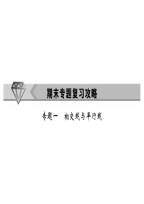 七年级数学下册-专题一-相交线与平行线习题课件-(新版)新人教版