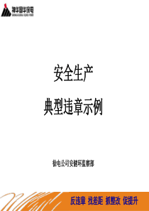 安全生产典型违章示例资料