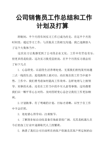 公司销售员工作总结和工作计划及打算