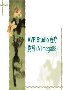 AVR-Studio-程序烧写-avr单片机编程