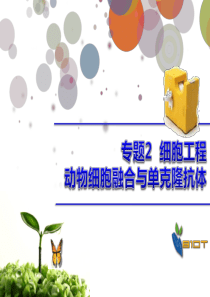 2.2.2-(公开课)动物细胞融合与单克隆抗体