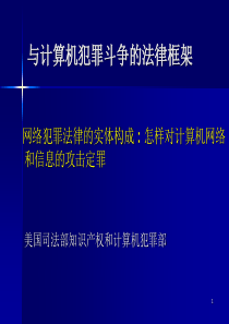 与计算机犯罪斗争的法律框架