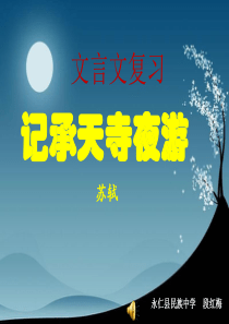 《记承天寺夜游》中考复习剖析