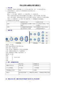 高三生物有丝分裂与减数分裂专题复习