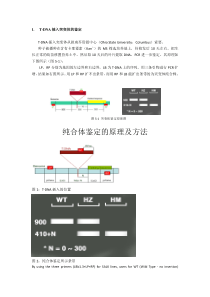 纯合体鉴定的原理及方法-