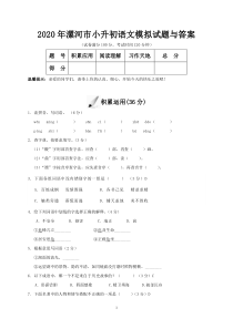 2020年漯河市小升初语文模拟试题与答案