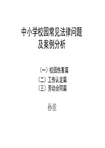 中小学校园常见法律问题及案例分析