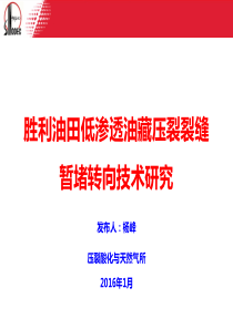 胜利油田低渗透油藏压裂裂缝暂堵转向技术研究