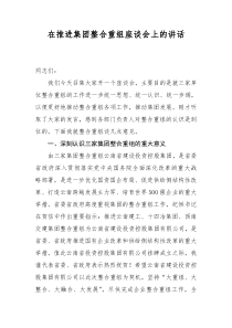 在推进集团整合重组座谈会上的讲话