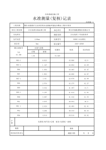 水准测量(复核)记录(能自动计算)