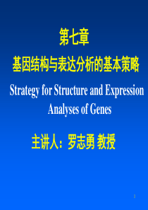 第七章基因结构与表达分析的基本策略ppt-hylogen