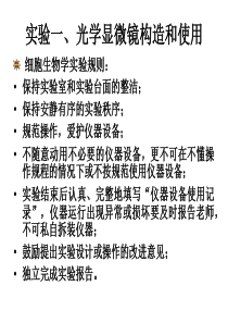 实验一光学显微镜构造及使用报告