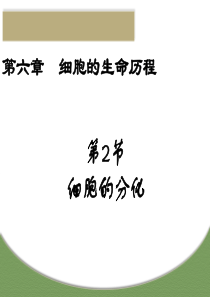 《细胞的分化》《细胞的衰老和凋亡》《细胞的癌变》全部内容