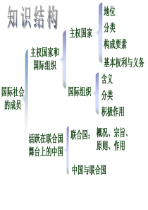 2014国际社会的主要成员：主权国家和国际组织2