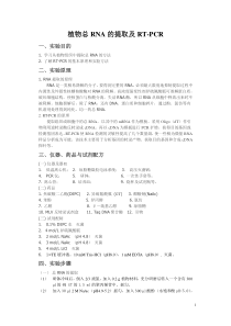 植物总RNA的提取及RT-PCR