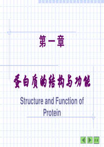 高中生物竞赛辅导―生物化学一(蛋白质)