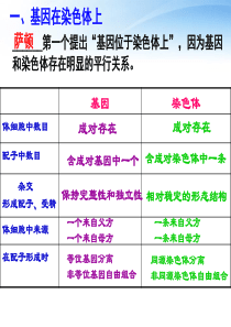 高考生物第一轮复习 伴性遗传和人类的遗传病课件