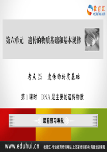 高考生物第一轮复习精品课件包：第六单元 遗传物质基础和基本规律 考点25