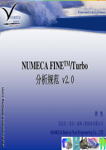 numeca使用规范