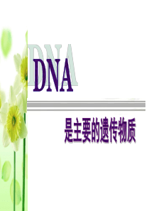 高三一轮复习 DNA是主要的遗传物质 课件(共34张PPT)