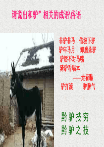 黔之驴 公开课一等奖PPT