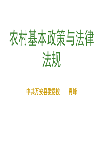 农村基本政策与法规