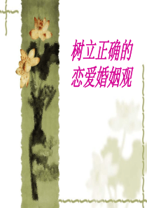 树立正确的恋爱婚姻观的PPT