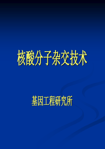 核酸分子杂交