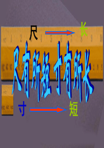 28尺有所短寸有所长_精品