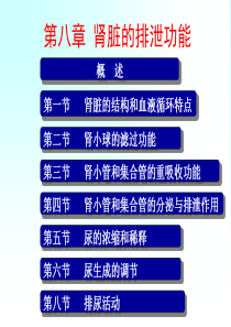 08-第八章-肾脏的排泄