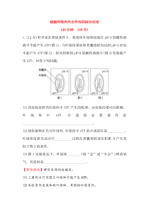 细胞呼吸和光合作用的综合应用(含详细解析)