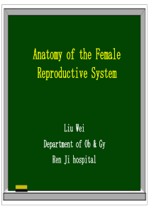 Anatomy-of-the-female-reproductive-system