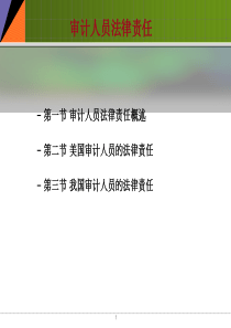 四、审计人员法律责任