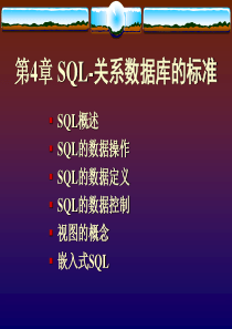 第4章SQL-关系数据库的标准