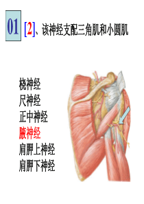 局解实验集锦1