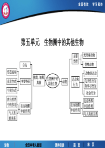 课时19-生物圈中动物的主要类群