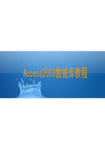 Access数据库2003教学课件-CH4剖析