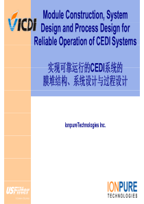 IONPURE-CEDI系统设计与过程设计