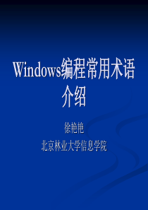 Windows编程常用术语介绍