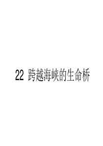 22 跨越海峡的生命桥