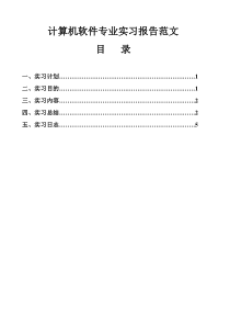 计算机软件专业实习报告范文